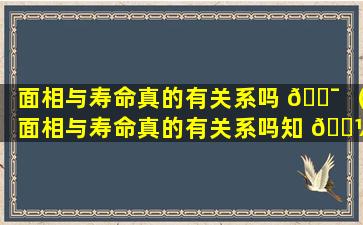 面相与寿命真的有关系吗 🐯 （面相与寿命真的有关系吗知 🌼 乎）